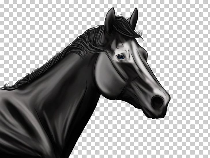 Halter Mustang Stallion Bridle Rein PNG, Clipart, Black, Black And White, Bridle, Halter, Horse Free PNG Download