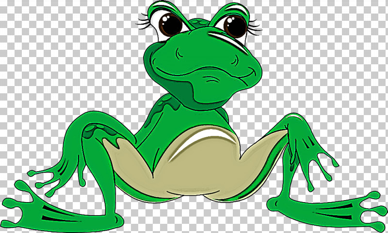 Green True Frog Cartoon Frog Shrub Frog PNG, Clipart, Cartoon, Frog, Green, Hyla, Shrub Frog Free PNG Download