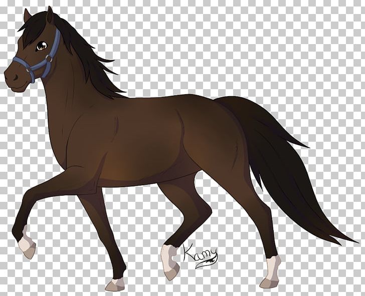 Mustang Foal Lusitano Irish Sport Horse Stallion PNG, Clipart, Animal Figure, Bridle, Colt, Foal, Fotolia Free PNG Download