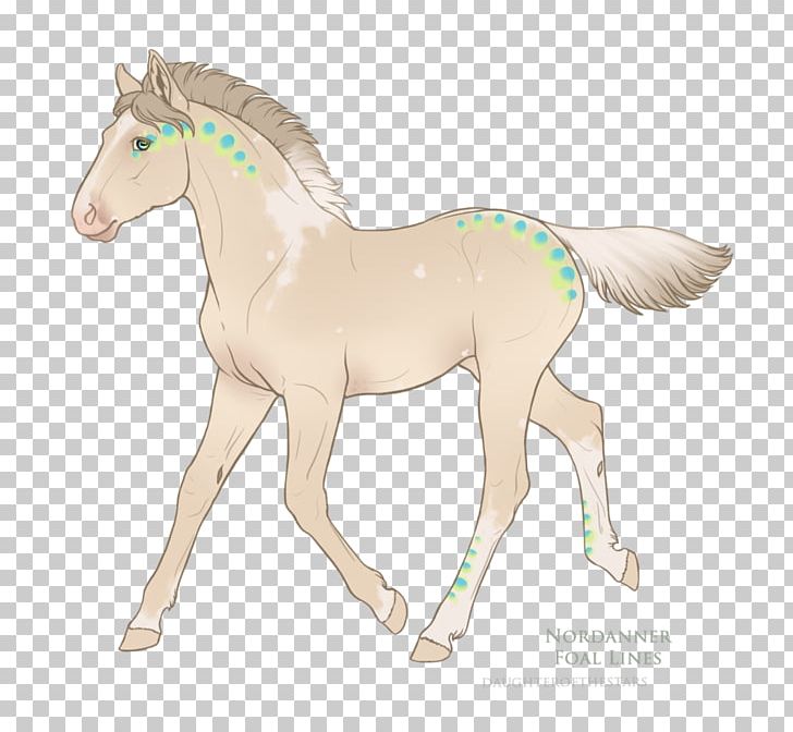 Foal Mustang Stallion Colt Mare PNG, Clipart, Animal Figure, Colt, Dirty Martini, Foal, Halter Free PNG Download