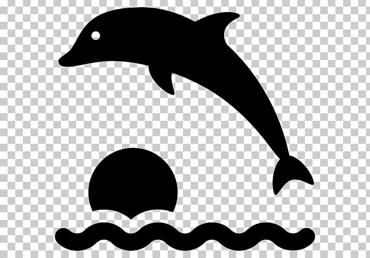 Tucuxi PNG, Clipart, Black, Black And White, Computer Icons, Dolphin, Download Free PNG Download
