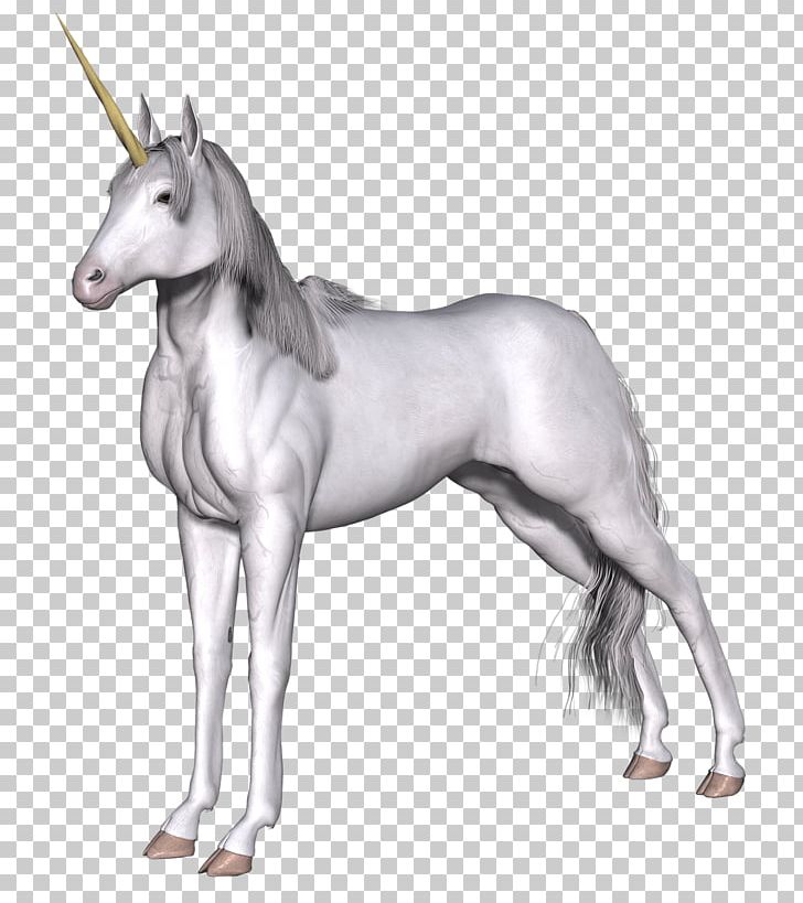 Unicorn Legendary Creature PNG, Clipart, Desktop Wallpaper, Fairy, Fairy Tale, Fantasy, Fictional Character Free PNG Download