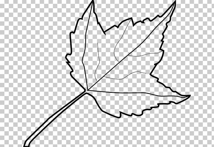Maple Leaf Drawing PNG, Clipart, Area, Artwork, Autumn, Autumn Leaf Color, Black Free PNG Download