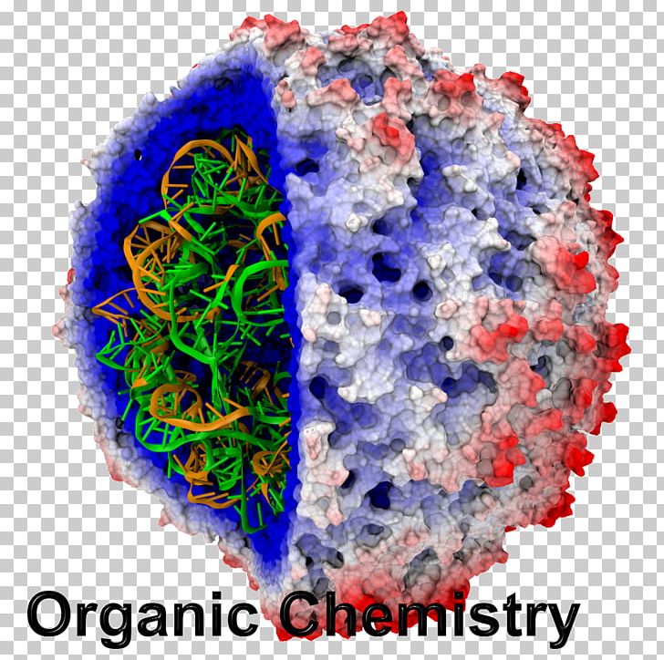 Visual Molecular Dynamics NAMD Computer Simulation Molecule PNG, Clipart, Amber, Atom, Chemistry, Computer, Computer Simulation Free PNG Download