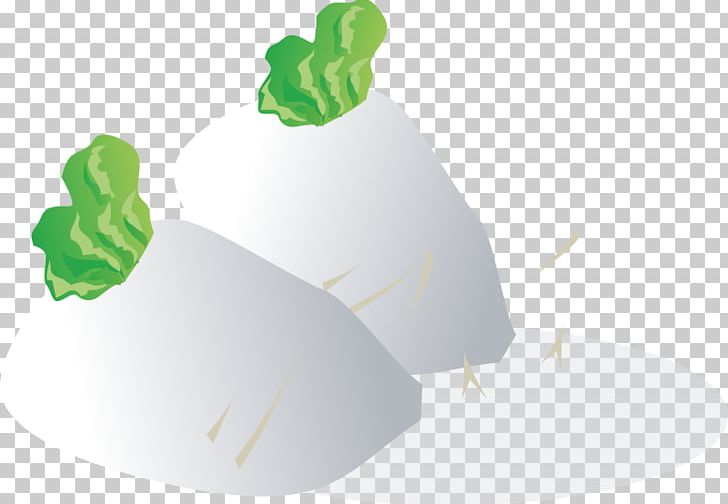 Daikon Food PNG, Clipart, Amphibian, Chinese Food Therapy, Computer Icons, Cough, Daikon Free PNG Download