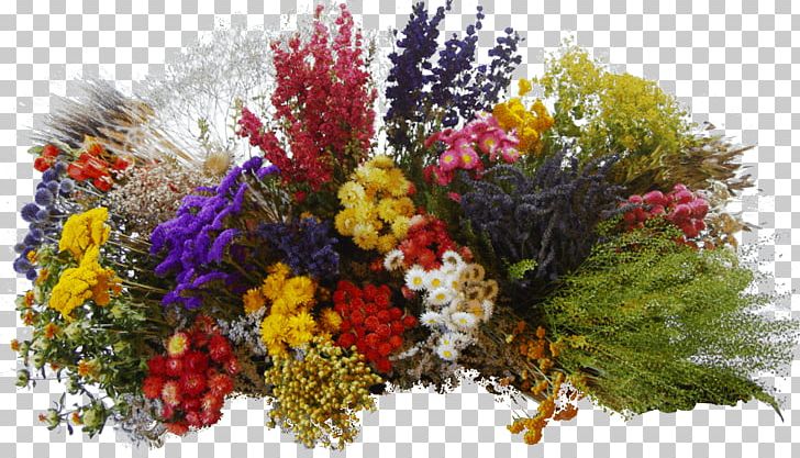 Floral Design Cut Flowers Plant Artificial Flower PNG, Clipart, Artificial Flower, Bonsai, Cut Flowers, Delphinium, Flora Free PNG Download