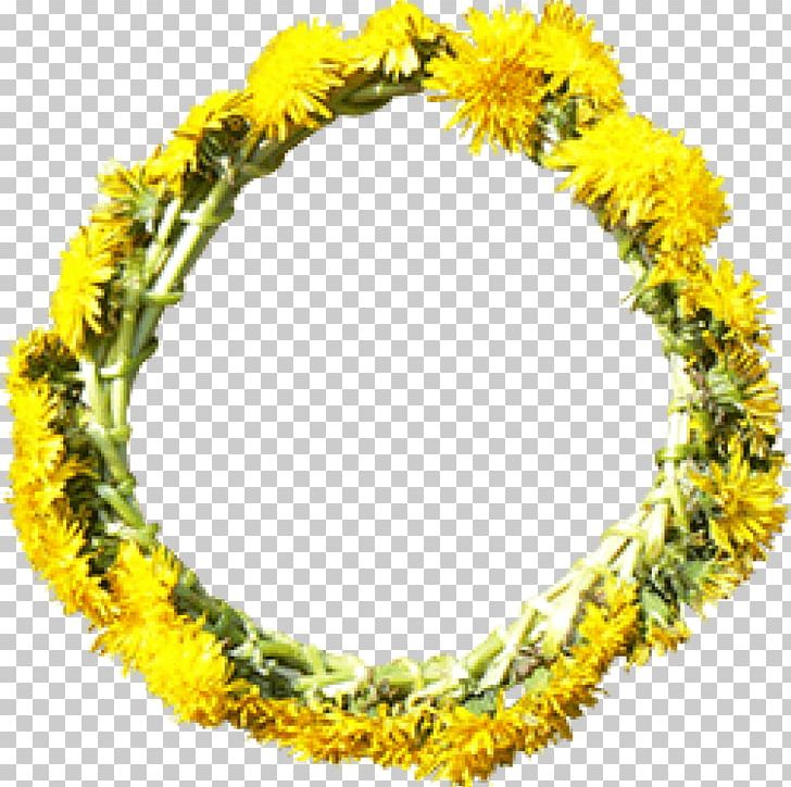 Flower Wreath Yellow Dandelion PNG, Clipart, 29052016, Color, Dandelion, Disk, Flower Free PNG Download