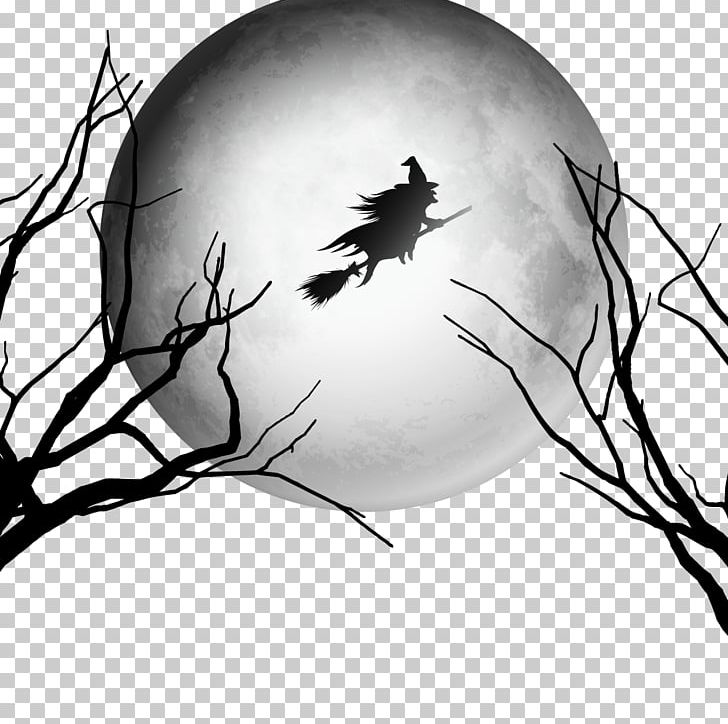 Halloween Witchcraft Party PNG, Clipart, Bird, Black And White, Blue Sky, Branch, Branche Free PNG Download