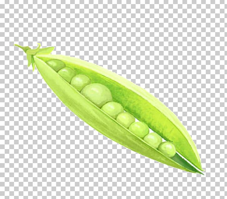 Pea Legume Vegetable Food PNG, Clipart, Bean, Butterfly Pea, Butterfly Pea Flower, Cartoon Peas, Corn On The Cob Free PNG Download