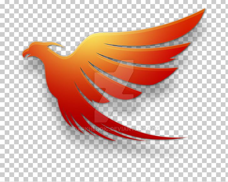 Phoenix Airport Logo PNG, Clipart, Art, Beak, Bird, Computer, Computer Wallpaper Free PNG Download