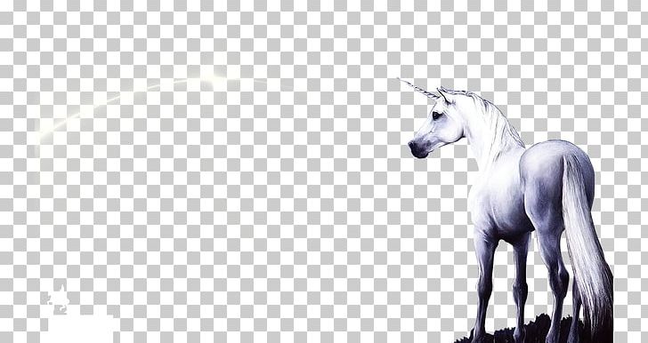 Unicorn Horse Pixel PNG, Clipart, Ancient, Animal, Beast, Black And White, Cartoon Unicorn Free PNG Download
