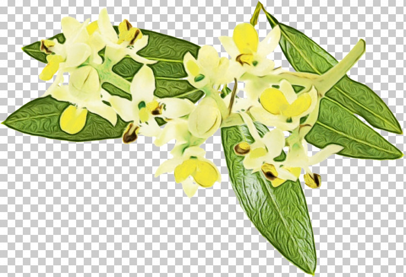 Floral Design PNG, Clipart, Cut Flowers, Floral Design, Flower, Moth Orchids, Orchids Free PNG Download