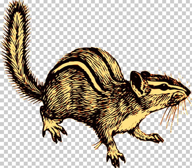 Chipmunk Squirrel Alvin Seville Rodent PNG, Clipart, Alvin And The Chipmunks, Alvin Seville, Animal, Animals, Beaver Free PNG Download