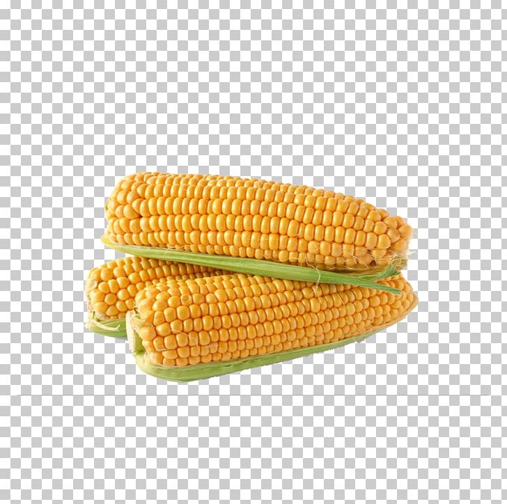 Corn On The Cob Maize Sweet Corn Baby Corn Corncob PNG, Clipart, Baby Corn, Cartoon Corn, Cereal Germ, Commodity, Cooking Free PNG Download