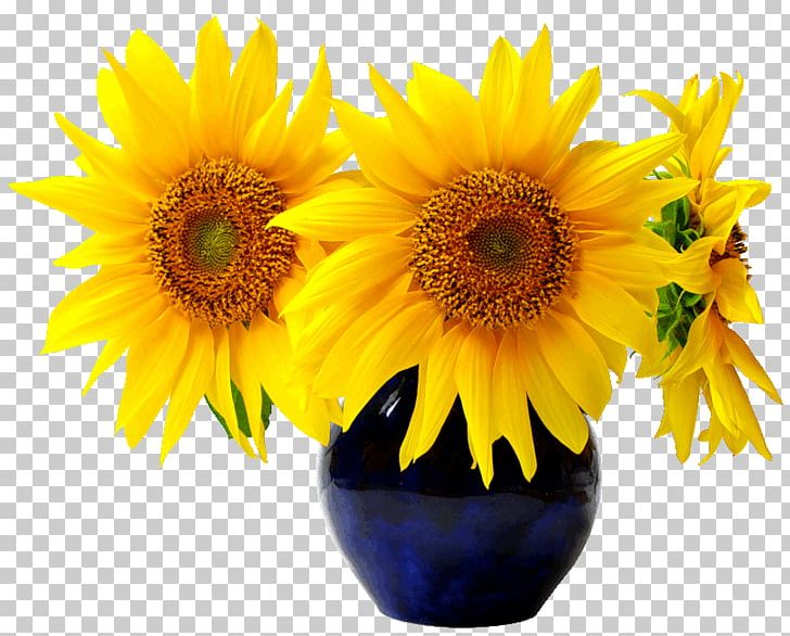 Sunflower Seed Common Sunflower Business Pampas Grass PNG, Clipart, Business, Common Sunflower, Cut Flowers, Daisy Family, Floristry Free PNG Download