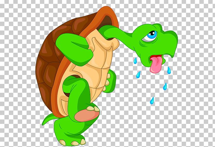 Turtle Graphics Cartoon Illustration PNG, Clipart, Amphibian, Animal Figure, Animals, Art, Can Stock Photo Free PNG Download