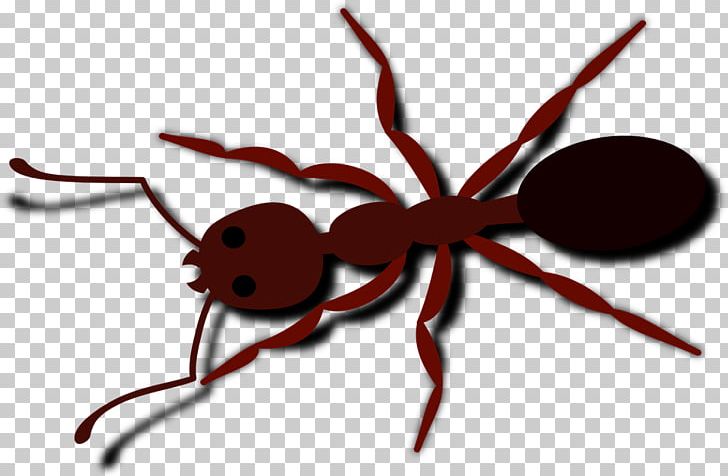Ant PNG, Clipart, Animal, Ant, Ant Clipart, Art, Arthropod Free PNG Download