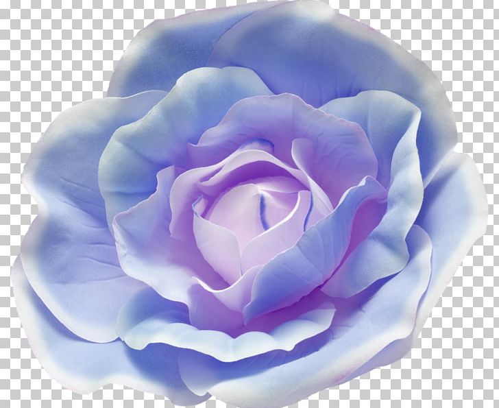Blue Rose Garden Roses Watercolor Painting PNG, Clipart, Art, Beach Rose, Blue, Computer Icons, Cut Flowers Free PNG Download
