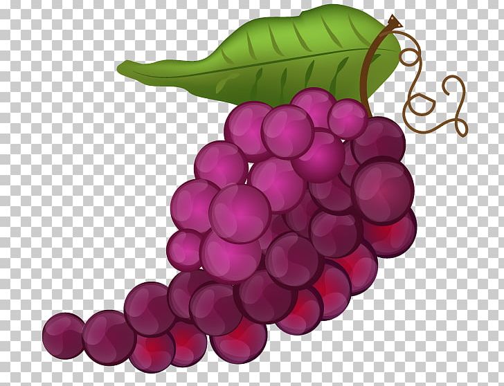 Grape Seed Extract Seedless Fruit PNG, Clipart, Flowering Plant, Food, Fruit, Fruit Nut, Grape Free PNG Download