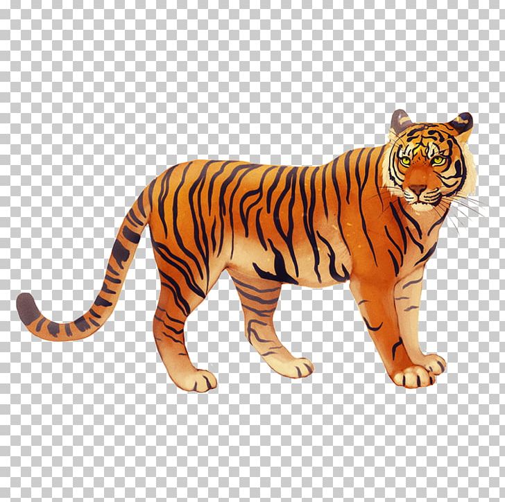 Javan Tiger Bali Tiger I Ching Lion PNG, Clipart, Animals, Art, Big Cats, Carnivoran, Cat Like Mammal Free PNG Download