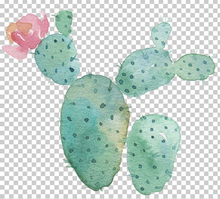 Cactaceae Succulent Plant Flower Watercolor Painting Astrophytum Myriostigma PNG, Clipart, Astr, Astrophytum, Astrophytum Asterias, Astrophytum Ornatum, Barbary Fig Free PNG Download