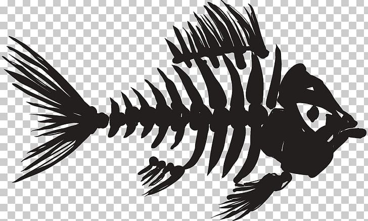 Skeleton Fish Bone Fish Bone PNG, Clipart, Black And White, Bone, Carnivoran, Diversity Of Fish, Fantasy Free PNG Download