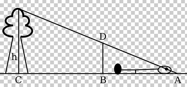 Triangle Uses Of Trigonometry Point PNG, Clipart, Angle, Area, Auto Part, Black And White, Circle Free PNG Download