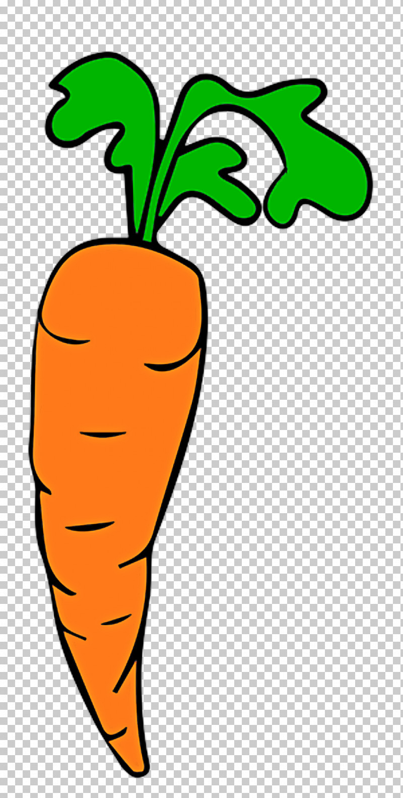 Carrot Root Vegetable Vegetable Radish Plant PNG, Clipart, Carrot, Food, Plant, Plant Stem, Radish Free PNG Download