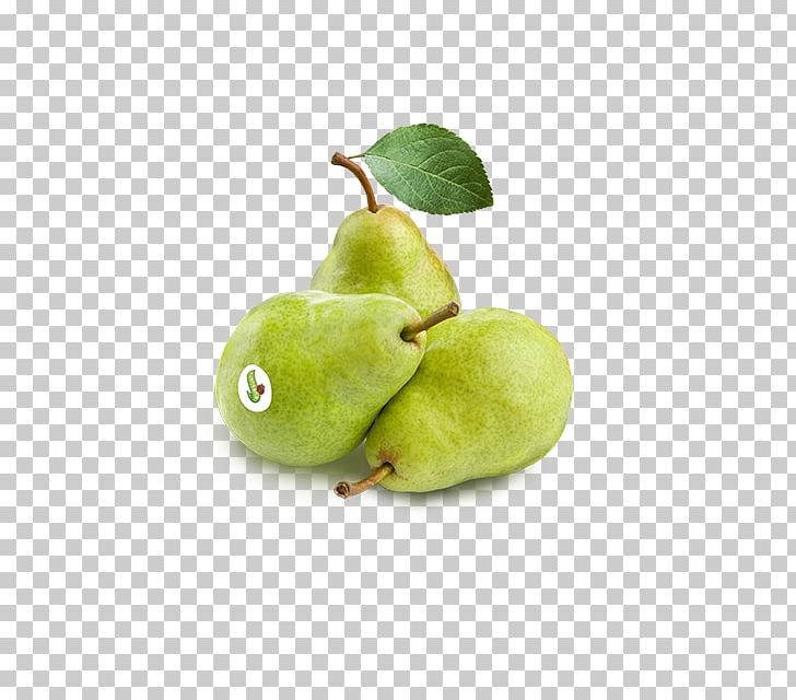 European Pear Fruit Apple Greengrocer PNG, Clipart, Apple, Asian Pear, Auglis, European Pear, Food Free PNG Download