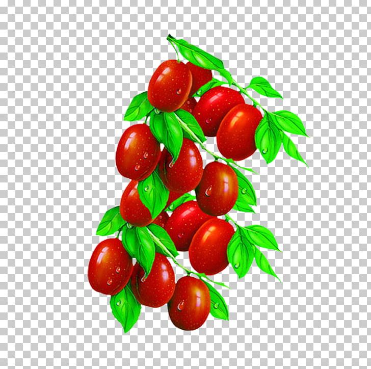 Jujube Tea Barbados Cherry Food PNG, Clipart, Acerola, Cherry, Dating, Dried Fruit, Food Free PNG Download