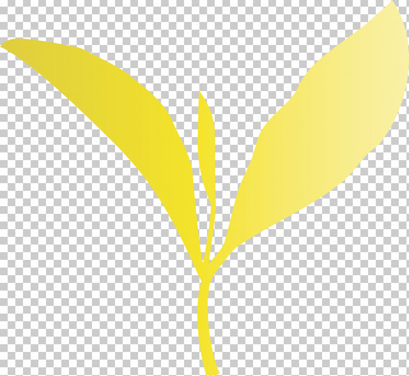 Leaf Yellow Plant Flower Tree PNG, Clipart, Flower, Leaf, Logo, Paint, Pedicel Free PNG Download