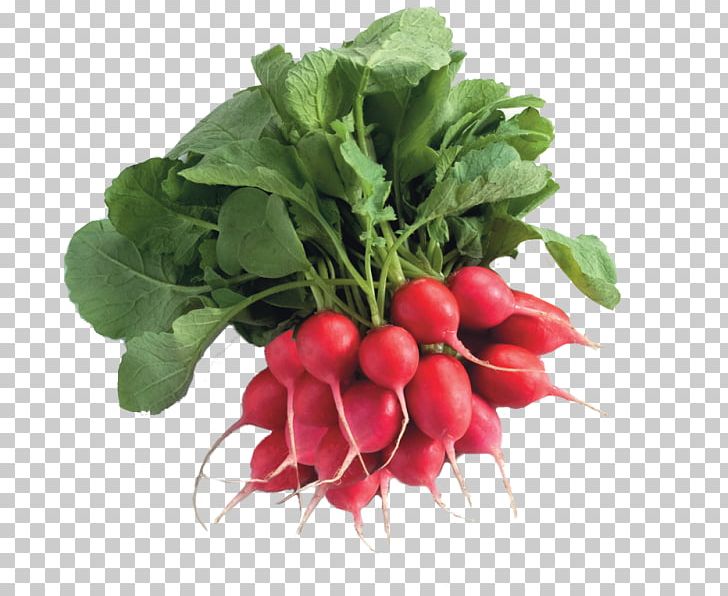 Chard Spring Greens Food Turnip Radish PNG, Clipart, Beet, Beetroot, Chard, Diet, Diet Food Free PNG Download