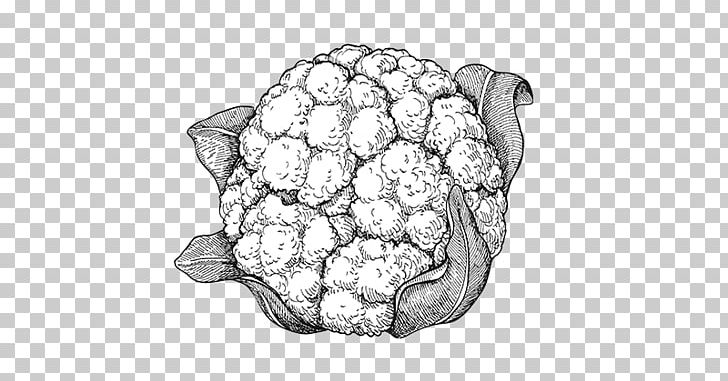 Drawing Vegetarian Cuisine Cauliflower Vegetable PNG, Clipart, Art, Black And White, Body Jewelry, Cabbage, Cauliflower Free PNG Download