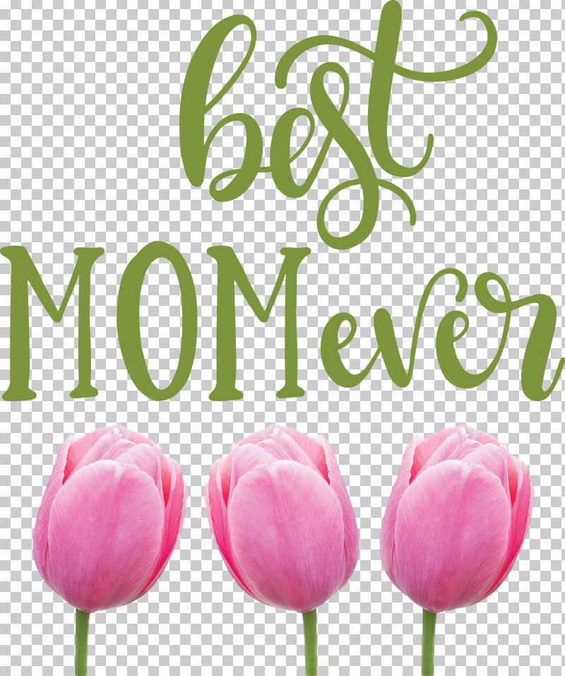 Mothers Day Best Mom Ever Mothers Day Quote PNG, Clipart, Best Mom Ever, Cricut, Cut Flowers, Flower, Gift Free PNG Download