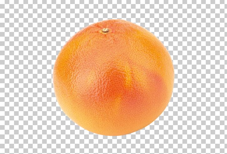 Clementine Tangerine Grapefruit Mandarin Orange Tangelo PNG, Clipart, Acid, Blood Orange, Citric Acid, Citrus, Clementine Free PNG Download