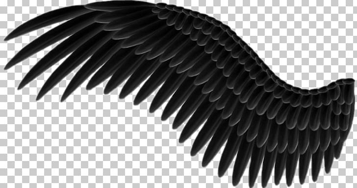 Others Wings Monochrome PNG, Clipart, Background Size, Best Quality, Black And White, Clip Art, Computer Icons Free PNG Download