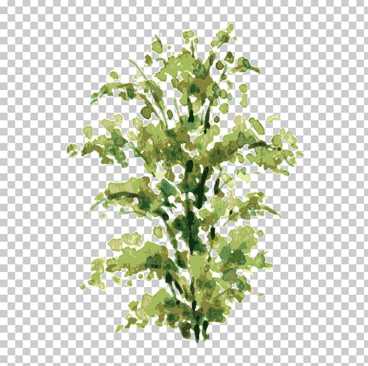 Watercolor Painting Shrub Drawing Illustration PNG, Clipart, Branch, Christmas Tree, Coconut Tree, Family Tree, Flowers Free PNG Download