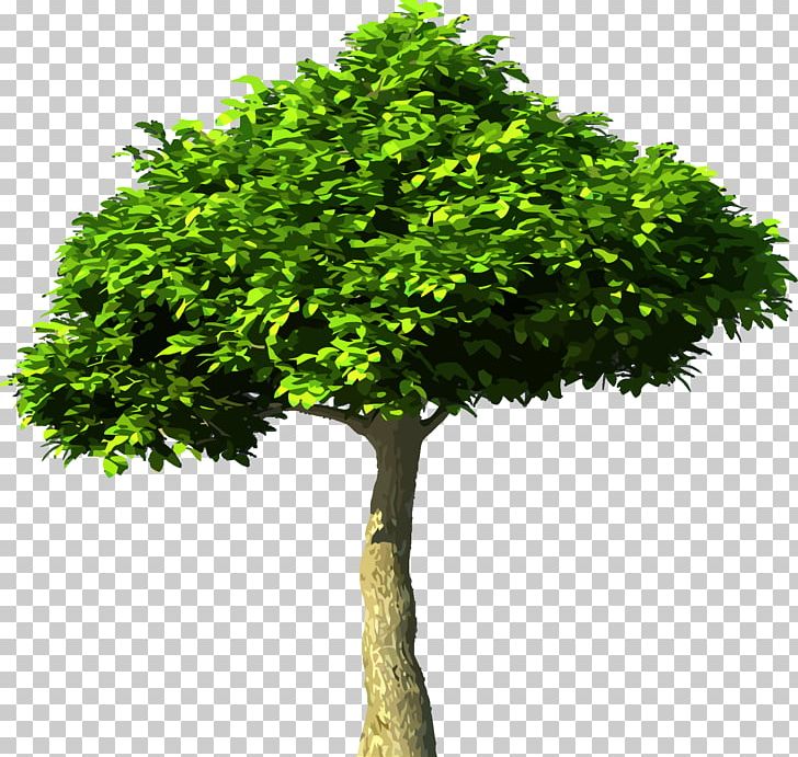 Carbon Dioxide Tree Global Warming Atmosphere Of Earth PNG, Clipart, Atmosphere Of Earth, Branch, Carbon Cycle, Carbon Dioxide, Carbon Footprint Free PNG Download