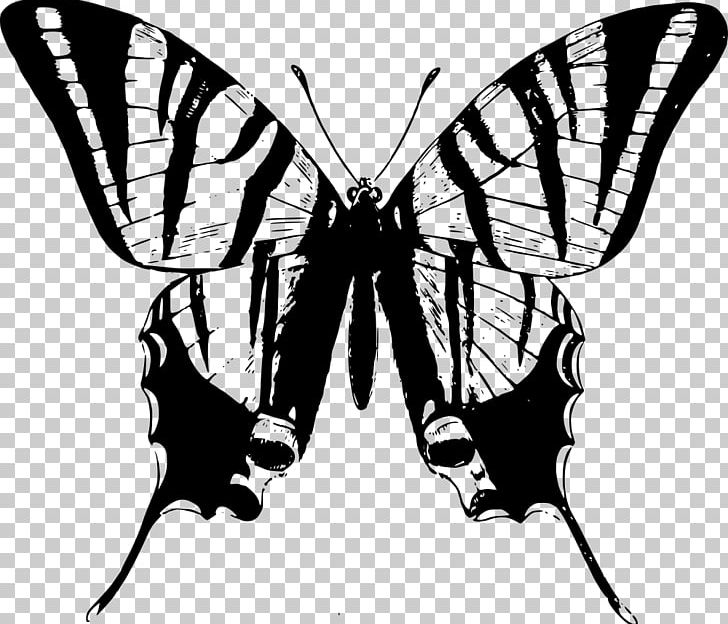 Iron Butterfly T-shirt Swallowtail Butterfly PNG, Clipart, Arthropod, Black And White, Brush Footed Butterfly, Butterfly, Butterfly Border Free PNG Download