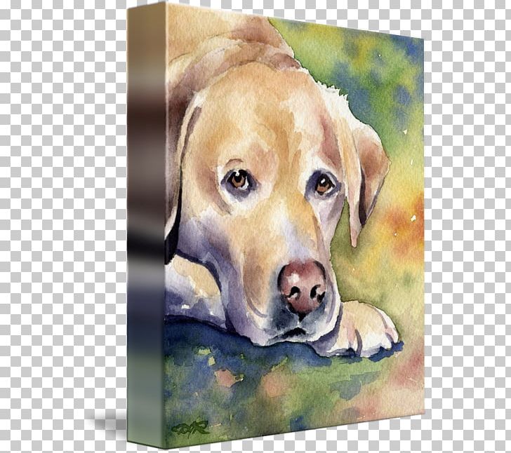Labrador Retriever Puppy Dog Breed Watercolor Painting PNG, Clipart, Breed, Carnivoran, Dog, Dog Breed, Dog Like Mammal Free PNG Download