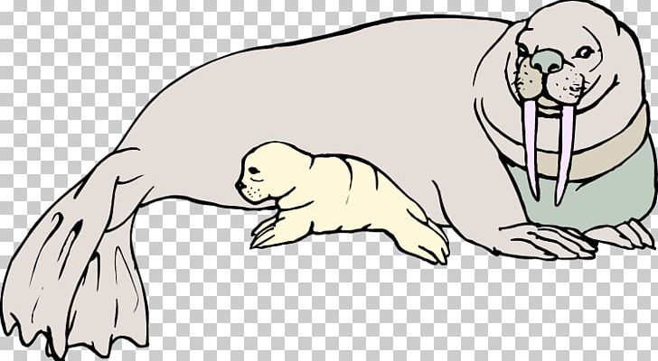 Walrus Free Content PNG, Clipart, Artwork, Bird, Carnivoran, Cartoon, Cat Like Mammal Free PNG Download