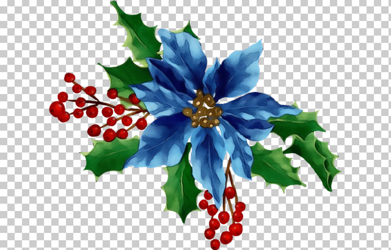 Holly PNG, Clipart, Aquifoliales, Branching, Flower, Holly, Paint Free PNG Download