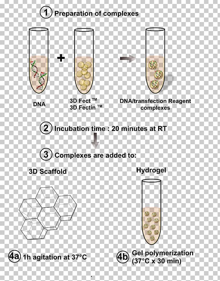 Pinocytosis Endocytosis Material PNG, Clipart, Area, Biological Process, Biology, Cell Membrane, Diagram Free PNG Download