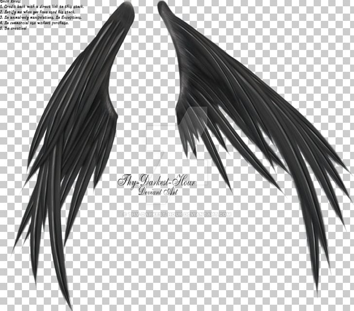 Angel Wing PNG, Clipart, Angel, Angel Wing, Art, Black And White, Black Hair Free PNG Download