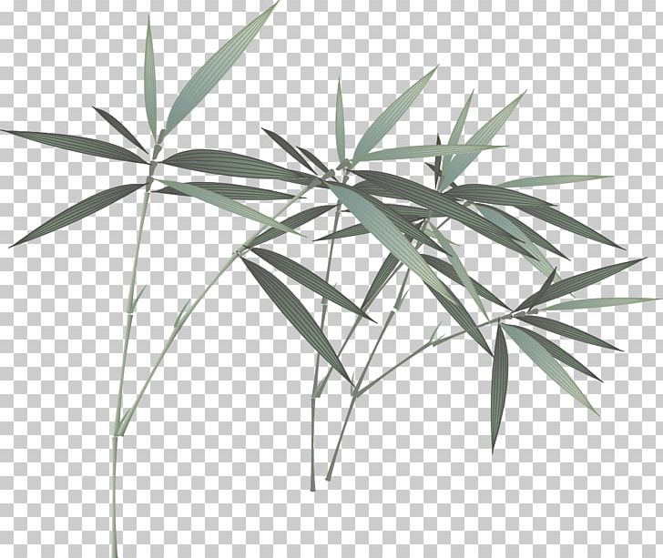 Bamboo Ink Wash Painting PNG, Clipart, Angle, Bamboo, Bamboo Vector, Bambusa Oldhamii, Cartoon Free PNG Download