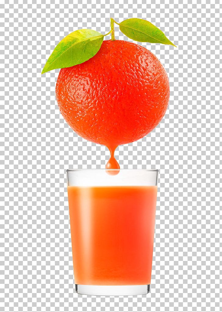 Orange Juice Clementine Blood Orange PNG, Clipart, Christmas Decoration, Citric Acid, Citrus, Clementine, Decorative Free PNG Download