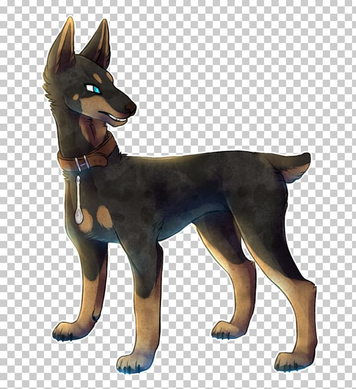 Ormskirk Terrier Australian Kelpie Kunming Wolfdog English Toy Terrier German Shepherd PNG, Clipart, Ancient Dog Breeds, Australian Cattle Dog, Breed Group Dog, Carnivoran, Dog Breed Free PNG Download