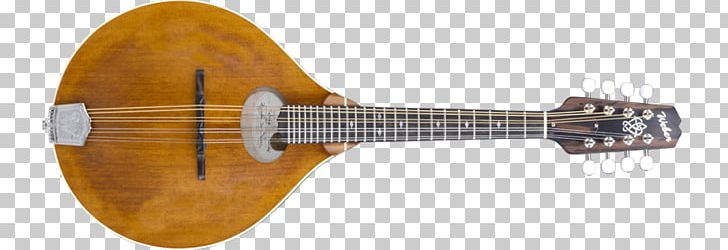 Tiple Acoustic-electric Guitar Bass Guitar PNG, Clipart, Acoustic Electric Guitar, Acousticelectric Guitar, Guitar Accessory, Musical Instrument, Musical Instrument Accessory Free PNG Download