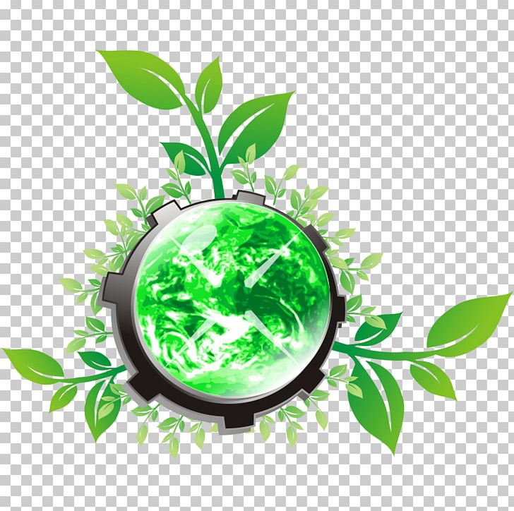 World Free Content Green PNG, Clipart, Branch, Computer Icons, Free Content, Green, Herbalism Free PNG Download