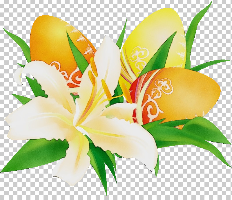 Flower Plant Yellow Lily Petal PNG, Clipart, Cut Flowers, Flower, Lily, Lily Family, Paint Free PNG Download